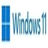 MS WINDOWS 11 PRO 64B DSP