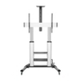 SOPORTE SUELO AISENS RUEDAS/MANIVELA/BANDEJA DVI CAMARA/MONITOR 60"-100"/100KG